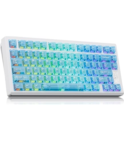 Amazon.com: ZENT75-HE Aluminum 75% Wired Magnetic Keyboard